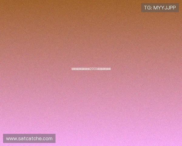 穿越时光的金色年华：重温2000年电视剧的璀璨星河